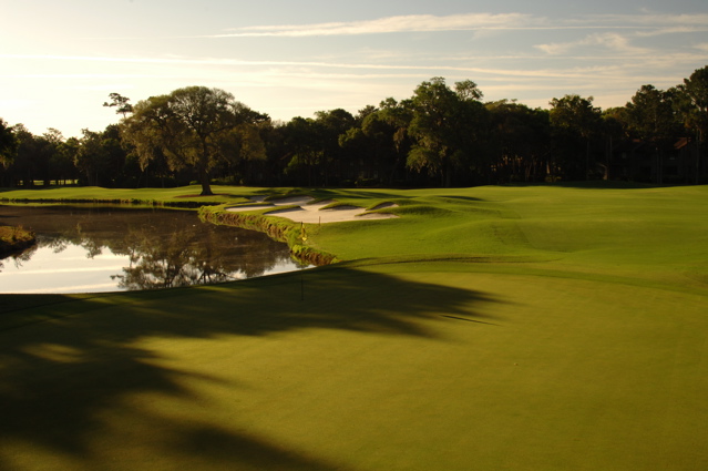 kiawahislandcougarpoint0227