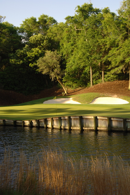 kiawahislandcougarpoint0170