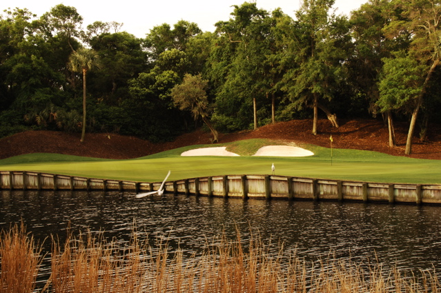 kiawahislandcougarpoint0146