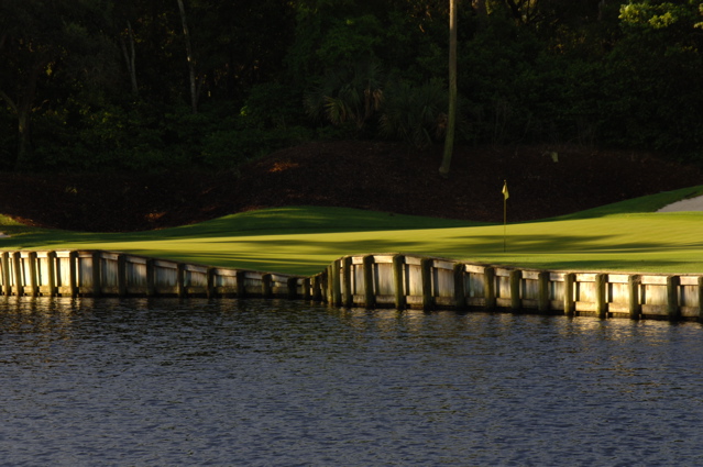 kiawahislandcougarpoint0179