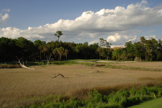 kiawahislandospreypoint0088