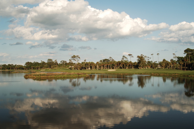 kiawahislandospreypoint0005