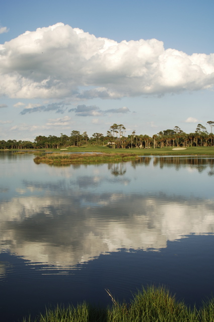 kiawahislandospreypoint0003
