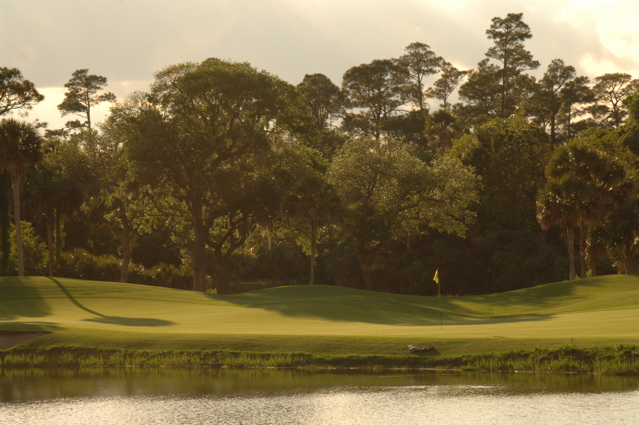 kiawahislandospreypoint0018