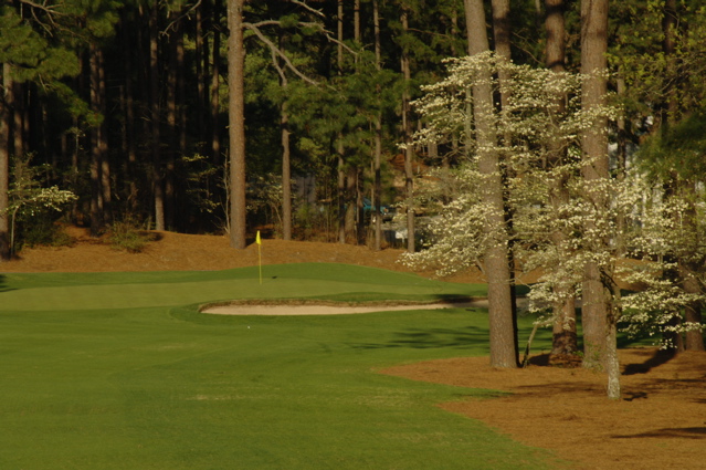 midpinesinnandgolfclub0102