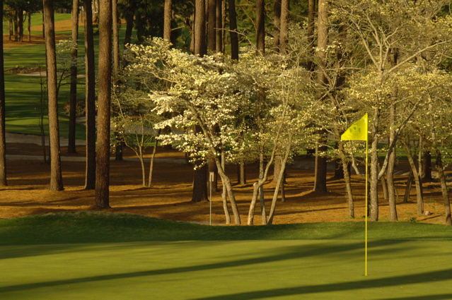 midpinesinnandgolfclub0029