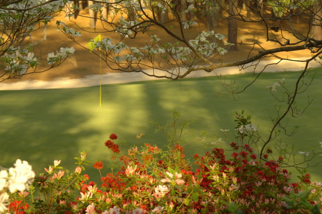 midpinesinnandgolfclub0036