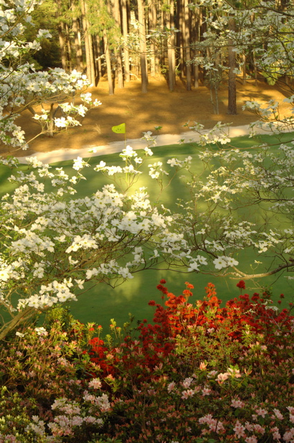 midpinesinnandgolfclub0039