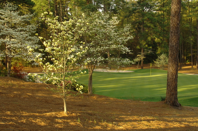 midpinesinnandgolfclub0041