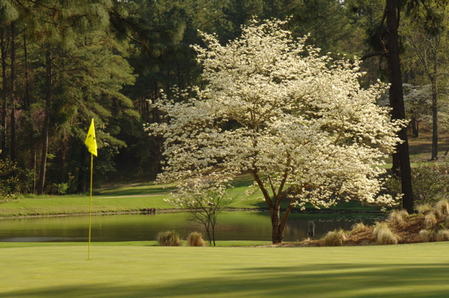 midpinesinnandgolfclub0072