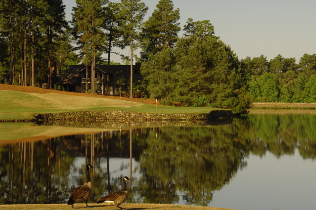 nationalgolfclub0185