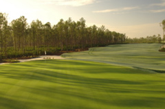 oldcorkscrewgolfclub0228