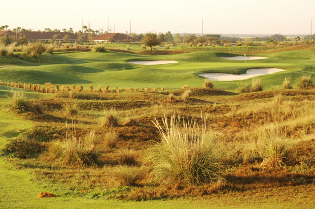 orangecountynationalcrookedcat0467