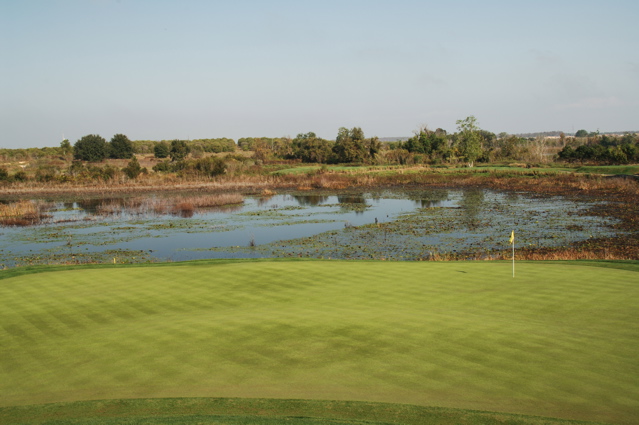 orangecountynationalcrookedcat0326