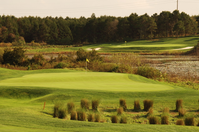 orangecountynationalcrookedcat0382