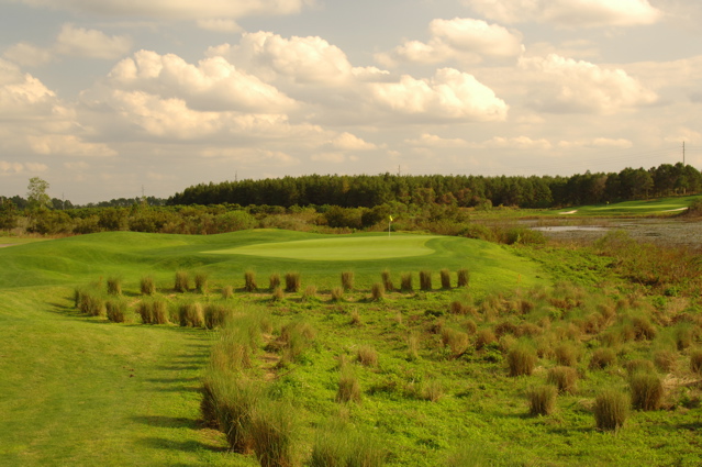 orangecountynationalcrookedcat0384