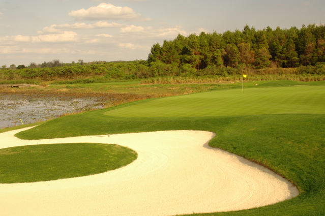 orangecountynationalcrookedcat0390