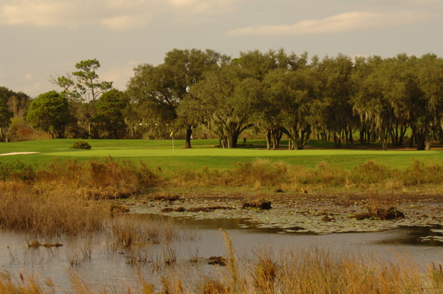 orangecountynationalcrookedcat0391