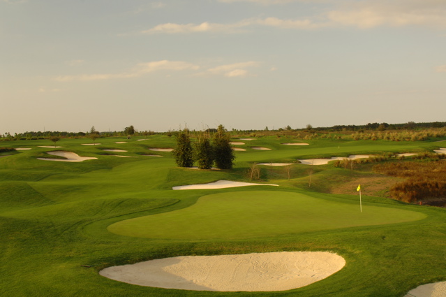 orangecountynationalcrookedcat0416