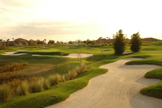 orangecountynationalcrookedcat0358