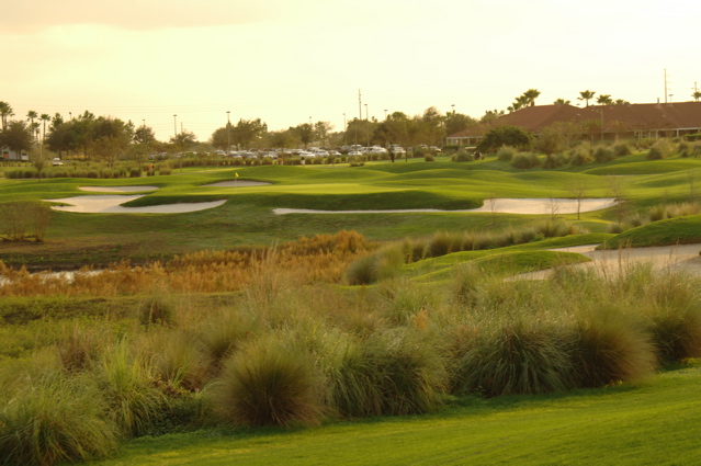 orangecountynationalcrookedcat0360