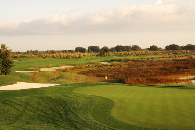 orangecountynationalcrookedcat0446