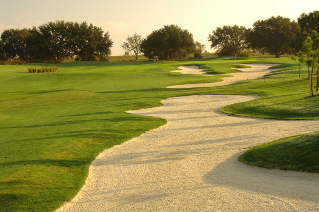 orangecountynationalcrookedcat0481