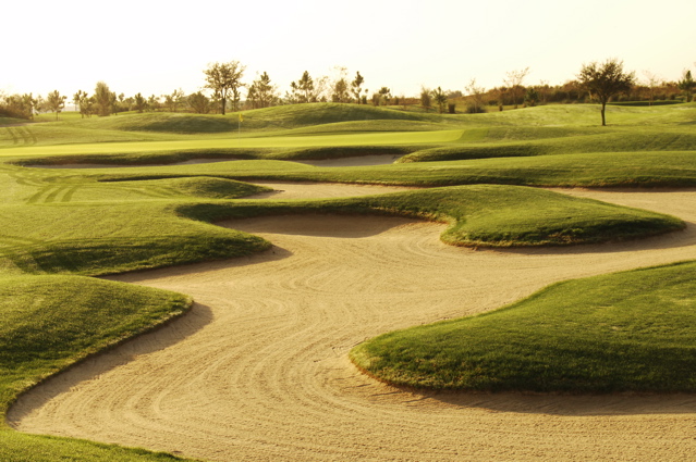 orangecountynationalcrookedcat0486