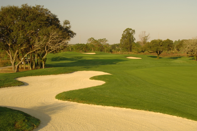 orangecountynationalcrookedcat0491