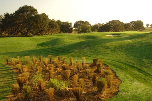 orangecountynationalcrookedcat0496