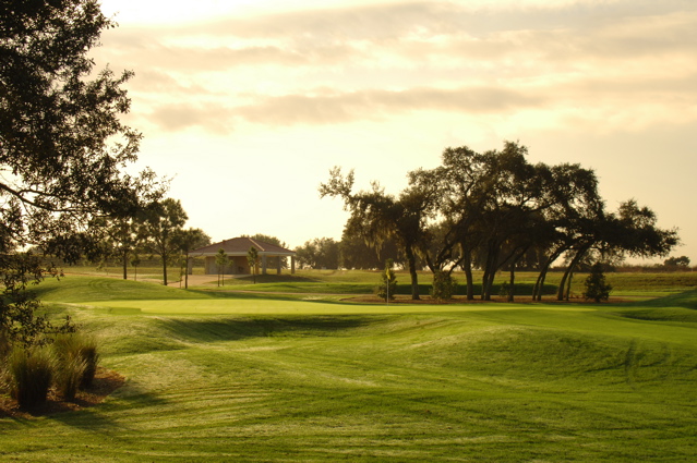 orangecountynationalcrookedcat0502