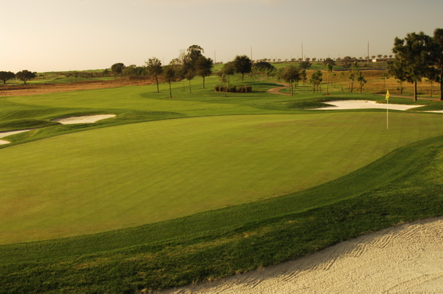 orangecountynationalcrookedcat0504