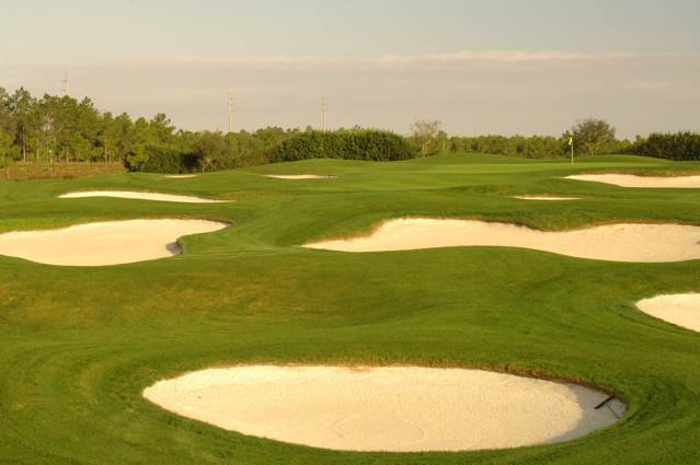 orangecountynationalcrookedcat0509