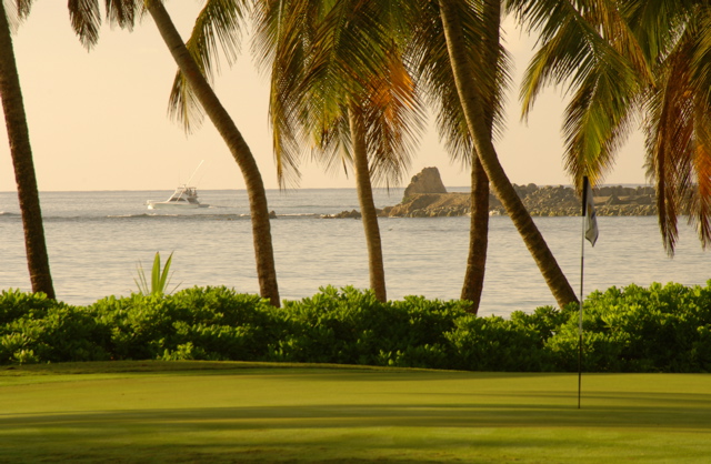 palmasdelmarpalmscourse0566