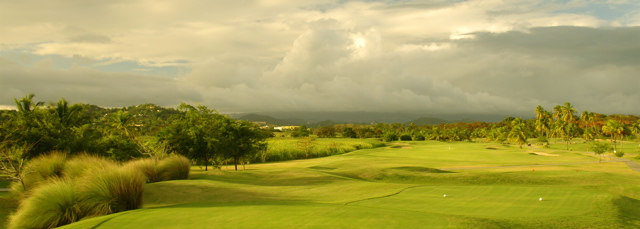 palmasdelmarpalmscourse0284