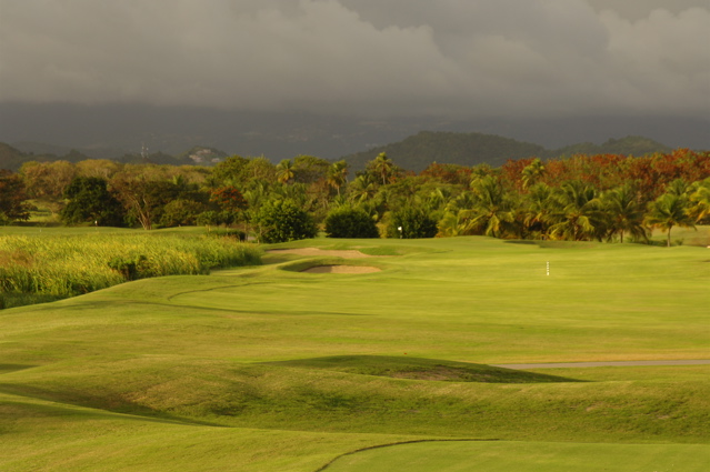 palmasdelmarpalmscourse0285