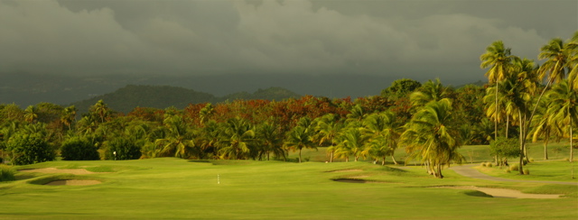 palmasdelmarpalmscourse0287