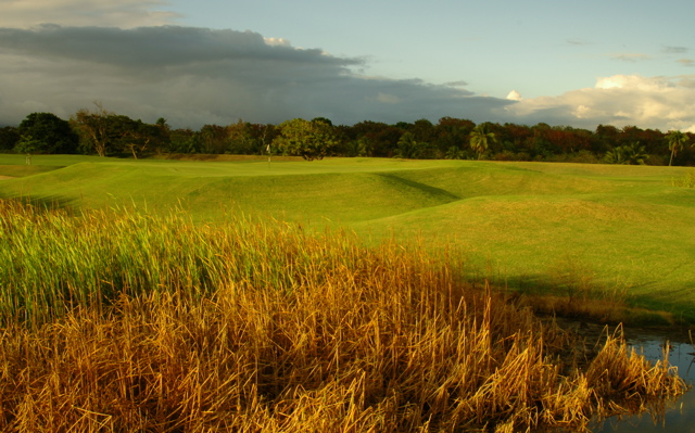 palmasdelmarpalmscourse0288