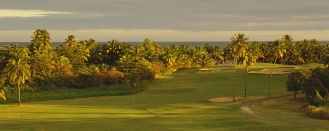 palmasdelmarpalmscourse0223