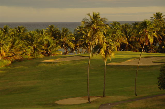 palmasdelmarpalmscourse0226