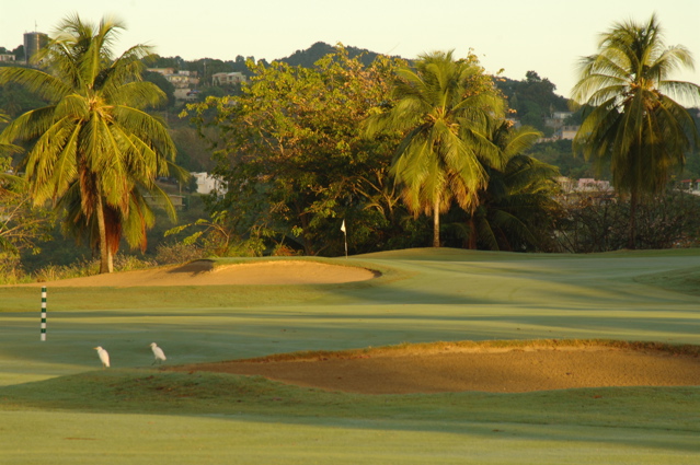 palmasdelmarpalmscourse0349