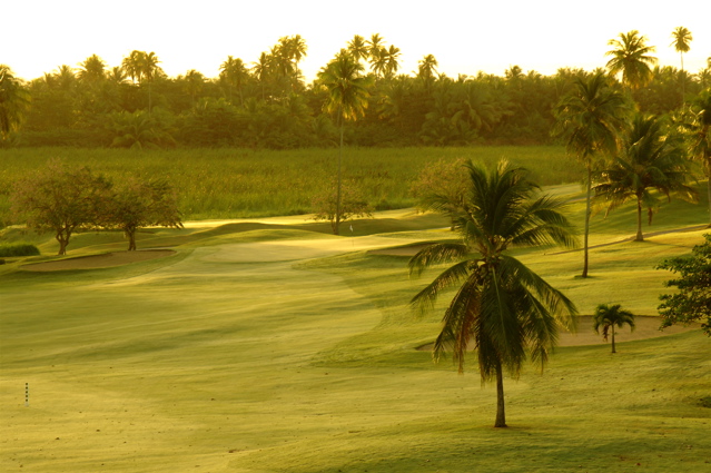 palmasdelmarpalmscourse0350