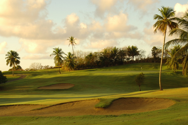 palmasdelmarpalmscourse0356