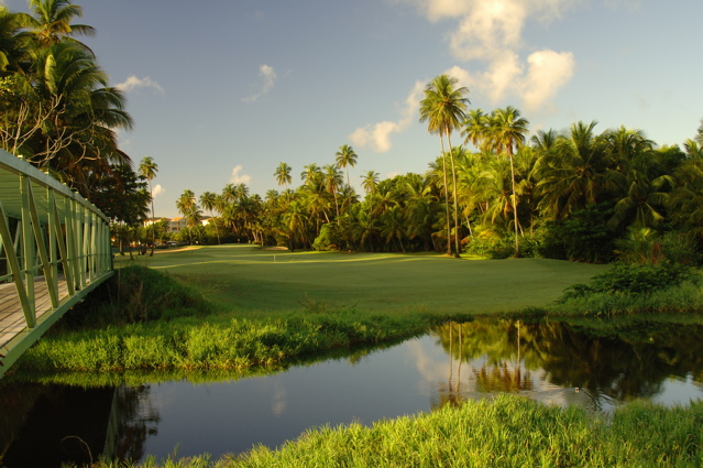 palmasdelmarpalmscourse0369