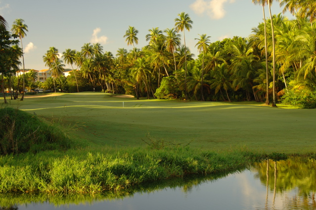 palmasdelmarpalmscourse0370