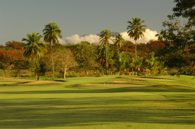 palmasdelmarpalmscourse0373