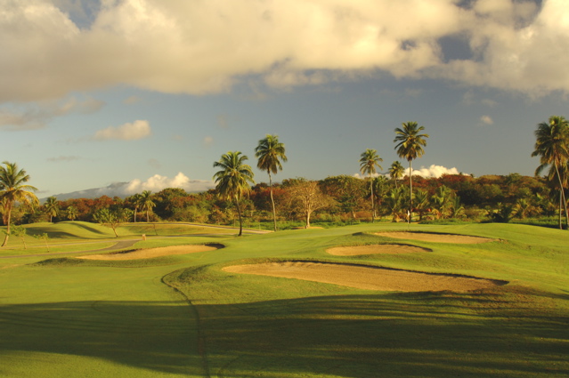 palmasdelmarpalmscourse0376