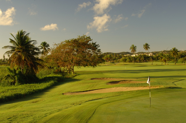 palmasdelmarpalmscourse0380