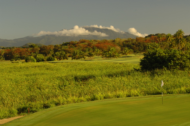 palmasdelmarpalmscourse0381