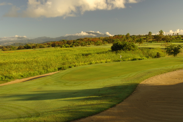 palmasdelmarpalmscourse0382